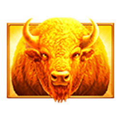 Buffalo symbol