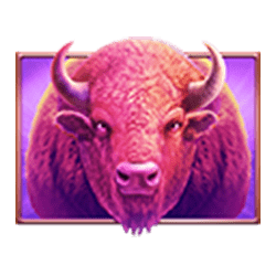 Buffalo symbol