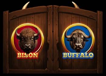 BISON VS BUFFALO DUEL Feature