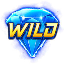 Wild Symbol