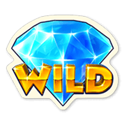 Wild Symbol