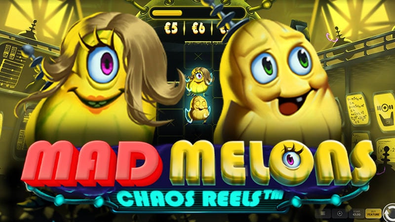 Mad Melons Chaos Reels