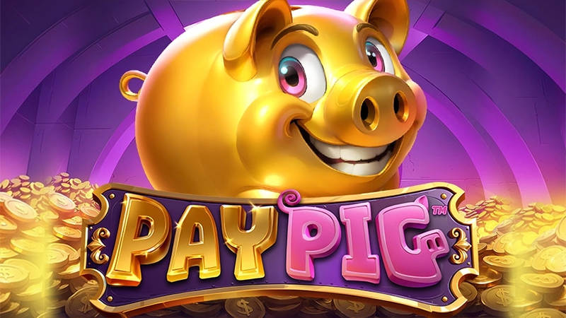 Pay Pig