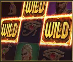 Wildfight