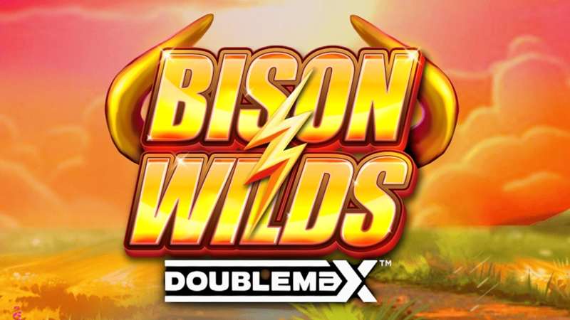 Bison Wilds DoubleMax