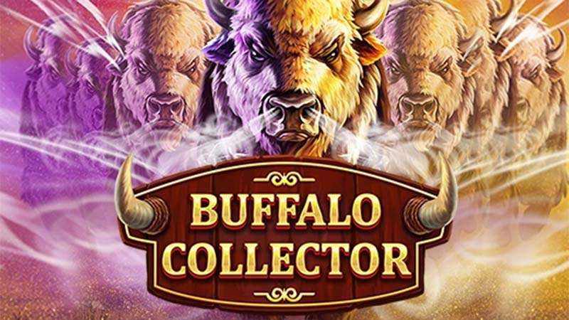 Buffalo Collector Slot Logo