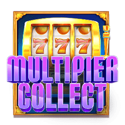 MULTIPLIER COLLECTION