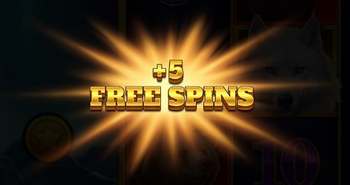 Free Spins With Major Upgrades