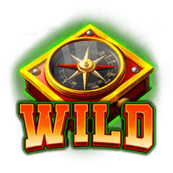 WILD symbol