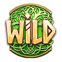 Wild Symbol