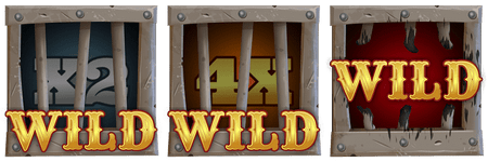 Multiplier Wild Symbol