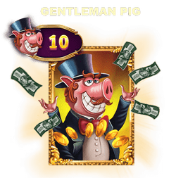 Gentleman Pig