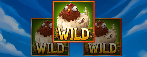 Wild Chicken