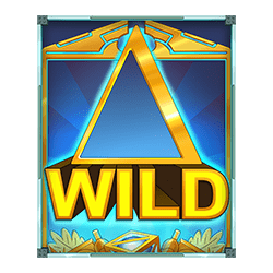 Level 1: Wild Expansion