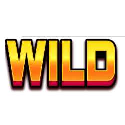 Wild symbol