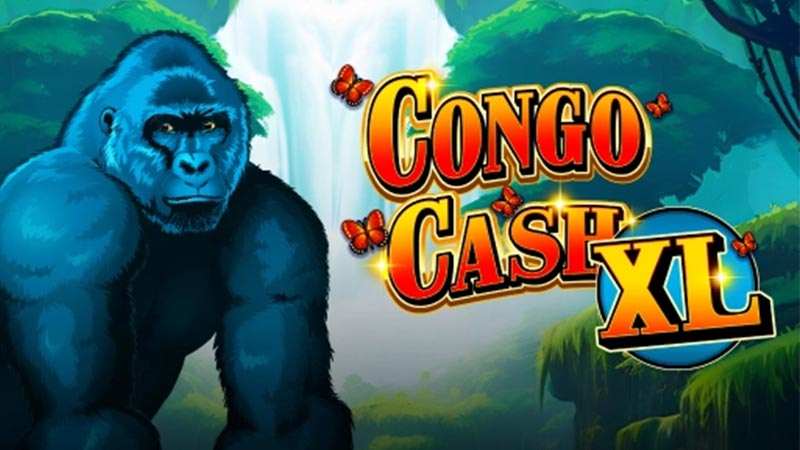 Congo Cash XL