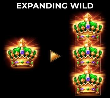 Expanding Wild