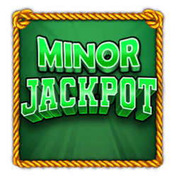 MINOR has a value of 50x total bet.