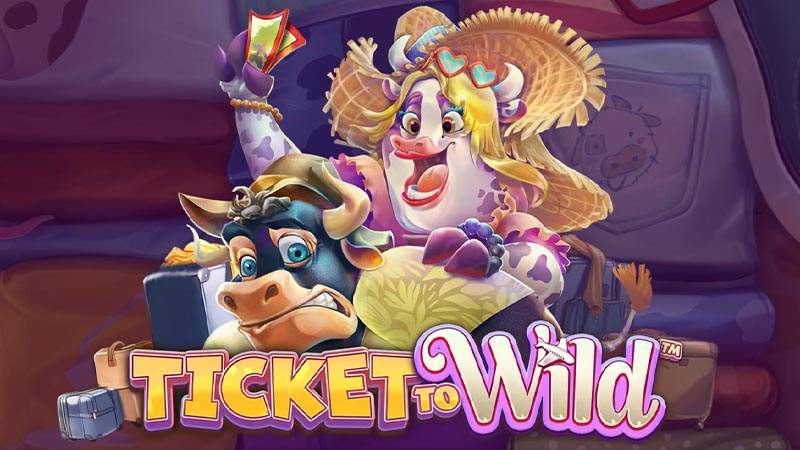 Ticket To Wild