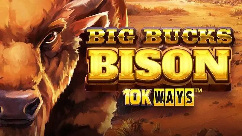 Big Bucks Bison 10K Ways