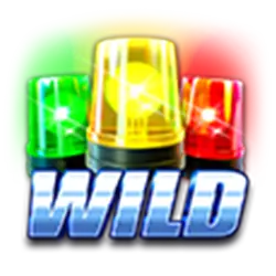 Wild Symbol