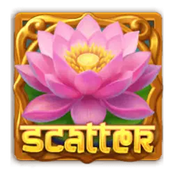 Scatter