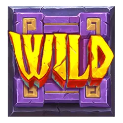 Wild symbol