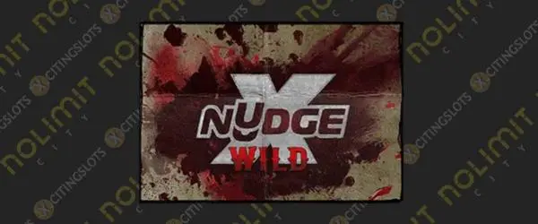 1 xNudge® Wild (Nolimit Booster)