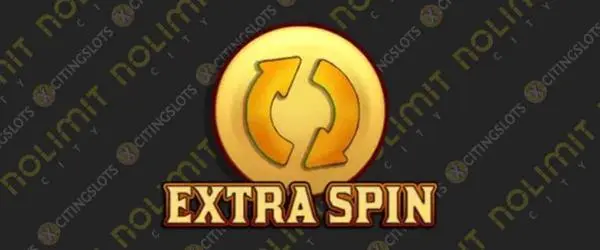 Extra Spin