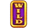 Symbol Wild