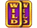 Symbol 2 Wild