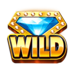 Wild symbol