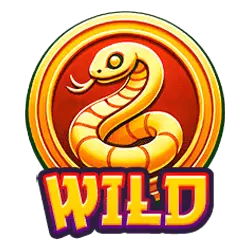 Wild symbol