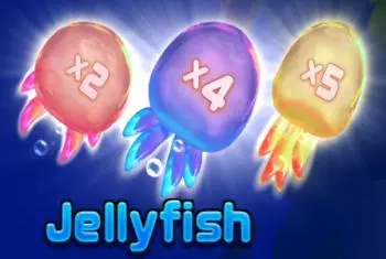 Jellyfish