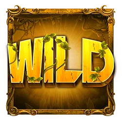 Wild Symbol