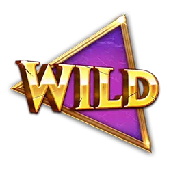 Wild symbol