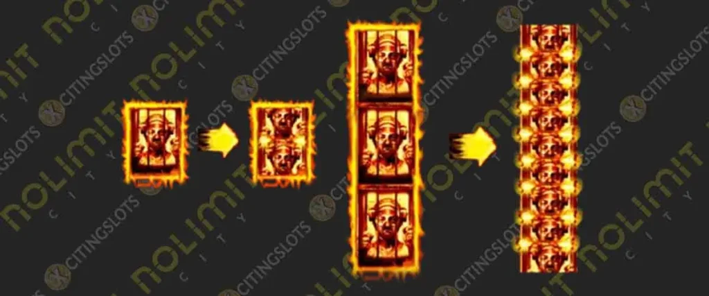 Fire Frames & Fire Reels