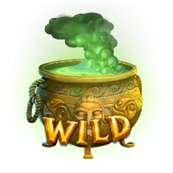 Wild symbol