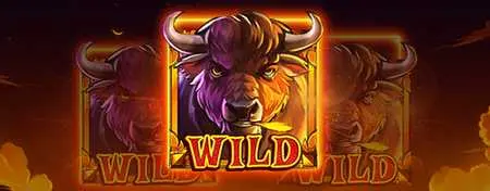 Wild Buffalo