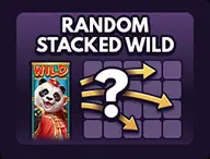 Random Stacked Wild